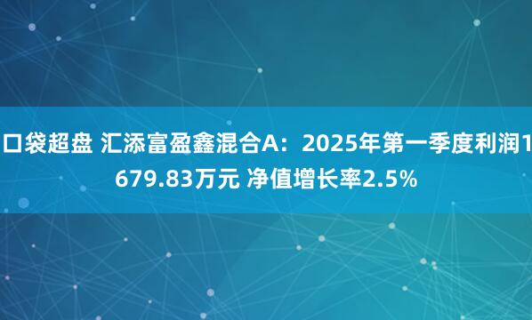 口袋超盘 汇添富盈鑫混合A：2025年第一季度利润1679.83万元 净值增长率2.5%