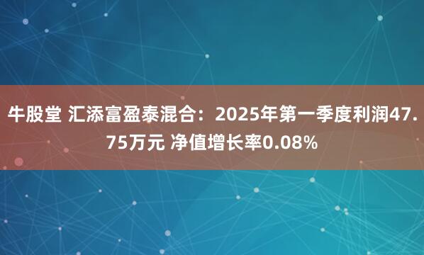 牛股堂 汇添富盈泰混合：2025年第一季度利润47.75万元 净值增长率0.08%