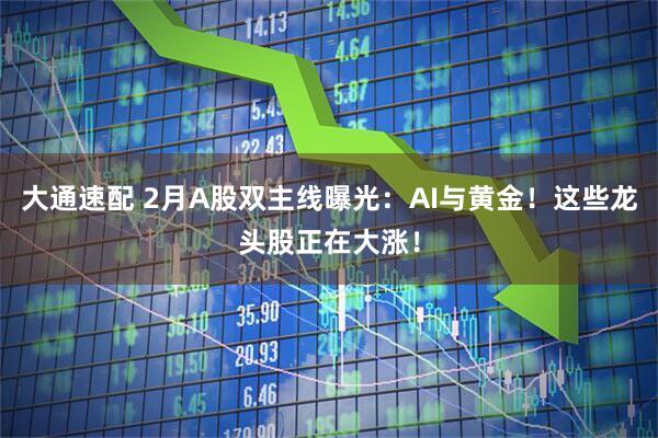 大通速配 2月A股双主线曝光：AI与黄金！这些龙头股正在大涨！