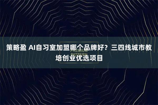 策略盈 AI自习室加盟哪个品牌好？三四线城市教培创业优选项目