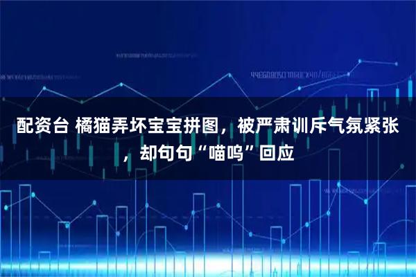 配资台 橘猫弄坏宝宝拼图，被严肃训斥气氛紧张，却句句“喵呜”回应