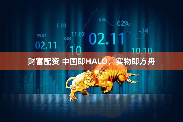财富配资 中国即HALO，实物即方舟