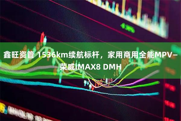 鑫旺资管 1536km续航标杆，家用商用全能MPV—荣威iMAX8 DMH