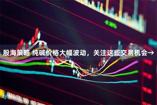 股海策略 纯碱价格大幅波动，关注这些交易机会→